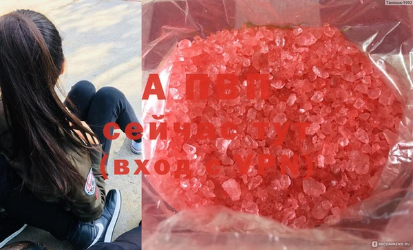 стаф Белоозёрский